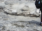 Pleistocene reef, beach, and dunes. Photo taken by Christopher Kendall