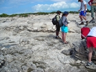 Pleistocene reef, beach, and dunes. Photo taken by Christopher Kendall