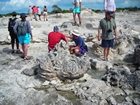 Pleistocene reef, beach, and dunes. Photo taken by Christopher Kendall