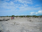 Pleistocene reef, beach, and dunes. Photo taken by Christopher Kendall