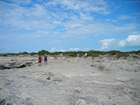 Pleistocene reef, beach, and dunes. Photo taken by Christopher Kendall