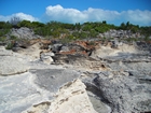 Pleistocene reef, beach, and dunes. Photo taken by Christopher Kendall