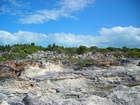 Pleistocene reef, beach, and dunes. Photo taken by Christopher Kendall