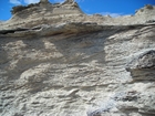 Pleistocene reef, beach, and dunes. Photo taken by Christopher Kendall