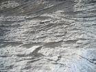 Pleistocene reef, beach, and dunes. Photo taken by Christopher Kendall