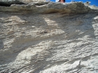 Pleistocene reef, beach, and dunes. Photo taken by Christopher Kendall