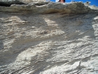 Pleistocene reef, beach, and dunes. Photo taken by Christopher Kendall