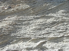 Pleistocene reef, beach, and dunes. Photo taken by Christopher Kendall