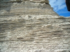 Pleistocene reef, beach, and dunes. Photo taken by Christopher Kendall