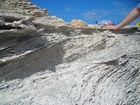 Pleistocene reef, beach, and dunes. Photo taken by Christopher Kendall