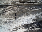 Pleistocene reef, beach, and dunes. Photo taken by Christopher Kendall