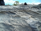 Pleistocene reef, beach, and dunes. Photo taken by Christopher Kendall