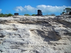 Pleistocene reef, beach, and dunes. Photo taken by Christopher Kendall