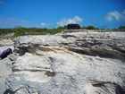 Pleistocene reef, beach, and dunes. Photo taken by Christopher Kendall