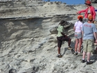 Pleistocene reef, beach, and dunes. Photo taken by Christopher Kendall