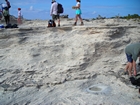 Pleistocene reef, beach, and dunes. Photo taken by Christopher Kendall