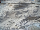 Pleistocene reef, beach, and dunes. Photo taken by Christopher Kendall