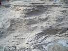 Pleistocene reef, beach, and dunes. Photo taken by Christopher Kendall