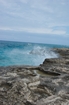 Pleistocene reef, beach, and dunes. Photo taken by Ned Frost