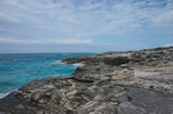 Pleistocene reef, beach, and dunes. Photo taken by Ned Frost