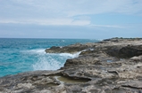 Pleistocene reef, beach, and dunes. Photo taken by Ned Frost