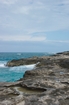 Pleistocene reef, beach, and dunes. Photo taken by Ned Frost