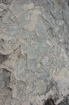 Pleistocene reef, beach, and dunes. Photo taken by Ned Frost