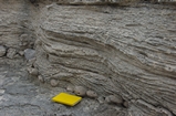 Pleistocene reef, beach, and dunes. Photo taken by Ned Frost