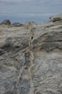 Pleistocene reef, beach, and dunes. Photo taken by Ned Frost