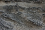 Pleistocene reef, beach, and dunes. Photo taken by Ned Frost