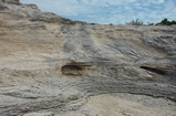 Pleistocene reef, beach, and dunes. Photo taken by Ned Frost