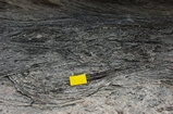 Pleistocene reef, beach, and dunes. Photo taken by Ned Frost