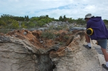 Pleistocene reef, beach, and dunes. Photo taken by Ned Frost