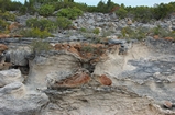 Pleistocene reef, beach, and dunes. Photo taken by Ned Frost