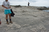 Pleistocene reef, beach, and dunes. Photo taken by Ned Frost