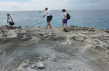 Pleistocene reef, beach, and dunes. Photo taken by Ned Frost