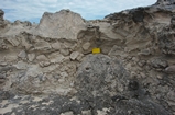 Pleistocene reef, beach, and dunes. Photo taken by Ned Frost