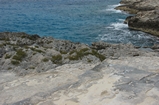 Pleistocene reef, beach, and dunes. Photo taken by Ned Frost