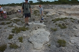 Pleistocene reef, beach, and dunes. Photo taken by Ned Frost