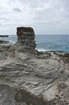 Pleistocene reef, beach, and dunes. Photo taken by Ned Frost