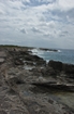 Pleistocene reef, beach, and dunes. Photo taken by Ned Frost