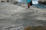 Pleistocene reef, beach, and dunes. Photo taken by Ned Frost