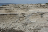 Pleistocene reef, beach, and dunes. Photo taken by Ned Frost