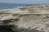 Pleistocene reef, beach, and dunes. Photo taken by Ned Frost