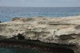 Pleistocene reef, beach, and dunes. Photo taken by Ned Frost