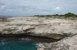 Pleistocene reef, beach, and dunes. Photo taken by Ned Frost