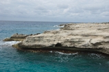 Pleistocene reef, beach, and dunes. Photo taken by Ned Frost