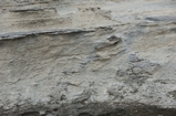 Pleistocene reef, beach, and dunes. Photo taken by Ned Frost