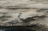 Pleistocene reef, beach, and dunes. Photo taken by Ned Frost