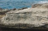 Pleistocene reef, beach, and dunes. Photo taken by Ned Frost